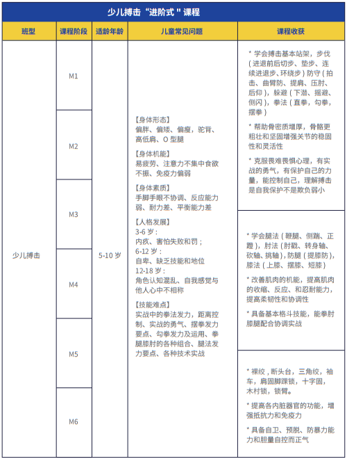 青少年搏击培训课程(图2)